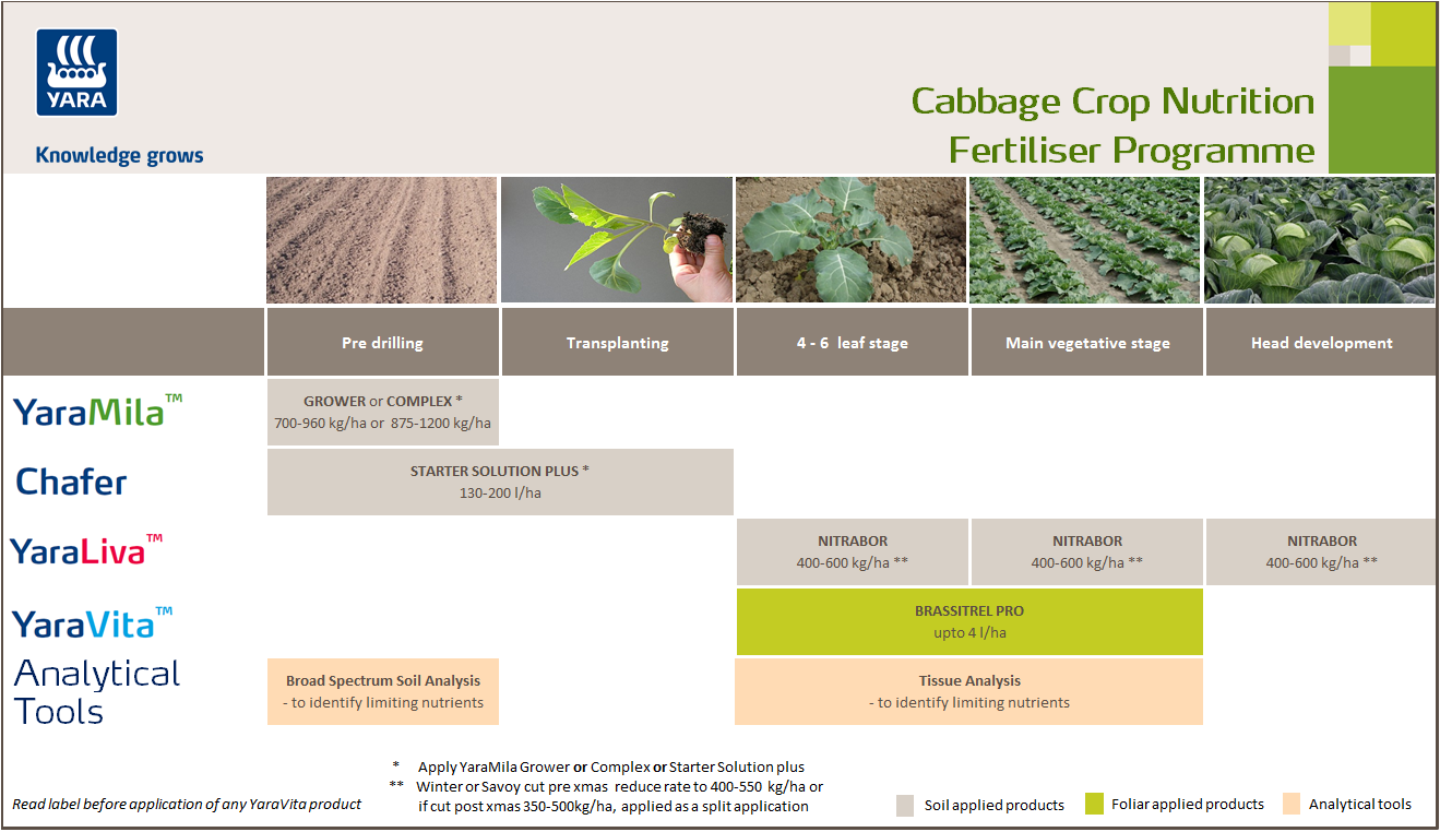 Cabbage fertiliser programme
